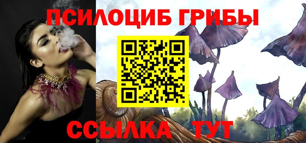 Галлюциногенные грибы мицелий Калач-на-Дону