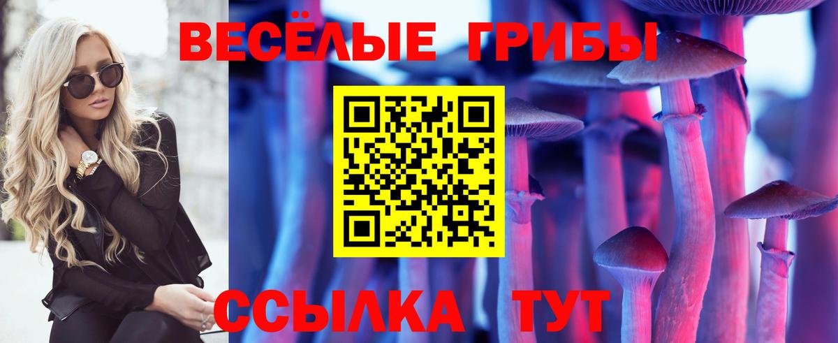 Галлюциногенные грибы Psilocybe  наркотики  Калач-на-Дону  Вход с VPN 
